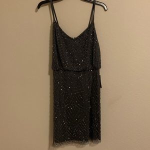 Above the knee, brand new Adrianna Papell dress